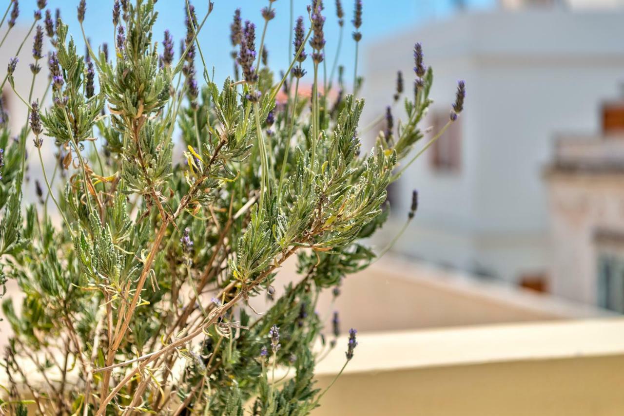 Island Of Luxury Apartments Ermoupoli Dış mekan fotoğraf